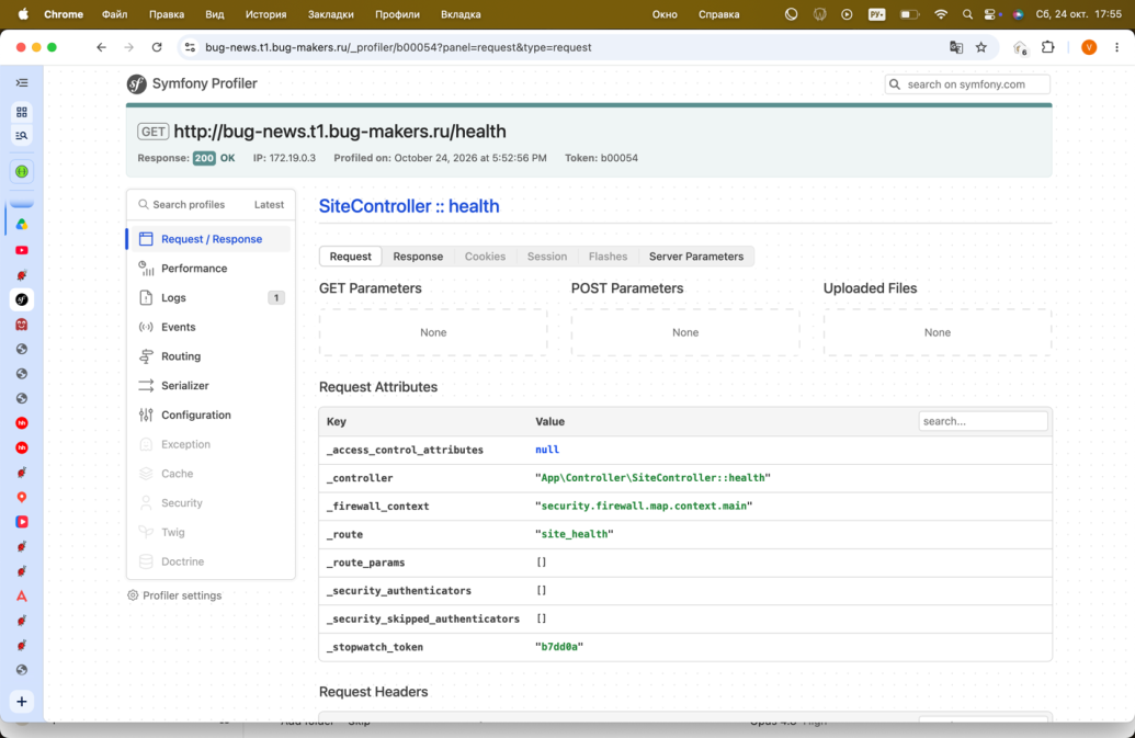 Детали запроса в панели профайлера Symfony