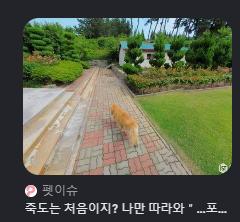 Результат поиска изображения в Google Lens