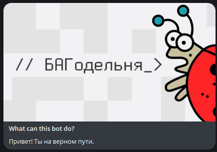 Профиль Telegram-бота БАГуслуг